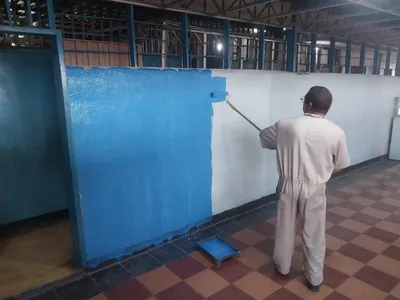 Imagen 8 de la galería